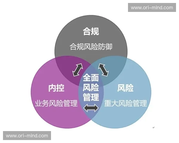 体育风控体系建设与风险管理创新策略探讨