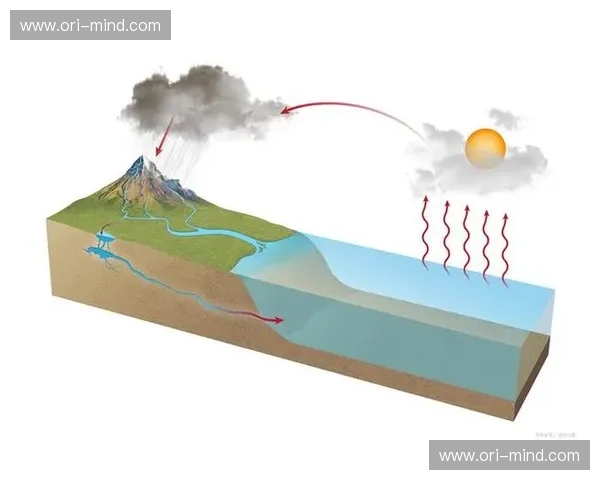 入水姿态与角度对运动表现与安全影响的全面解析